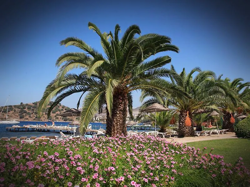 **  Princess Artemisia Hotel - Interni Yalikavak Turkey