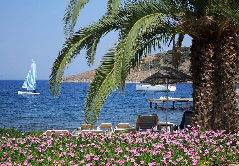 Princess Artemisia Hotel - Interni Yalikavak