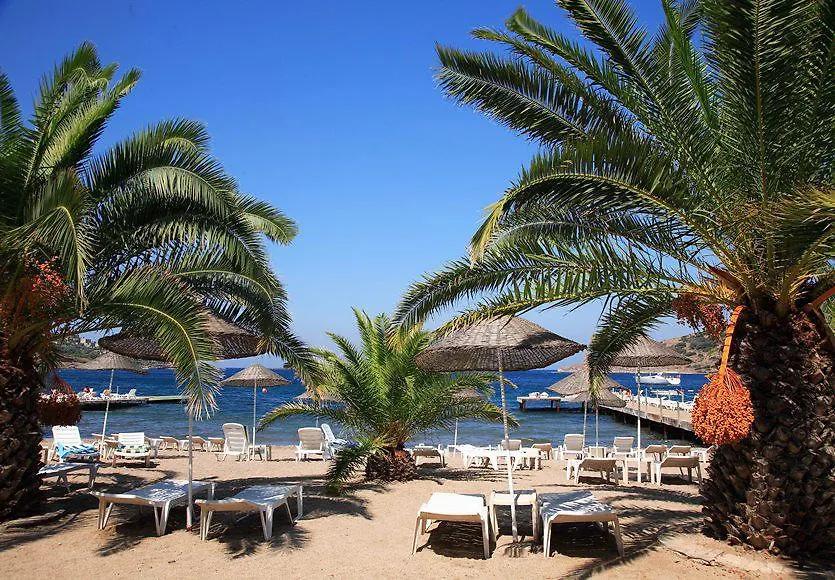 Princess Artemisia Hotel - Interni Yalikavak 2*,
